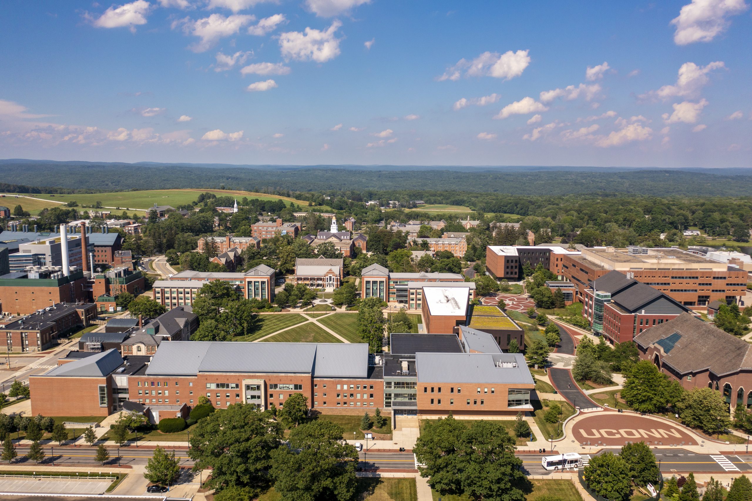 The Future of Forests - UConn Today