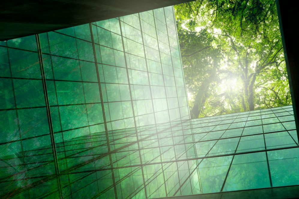 Green building with a view of the treetops.