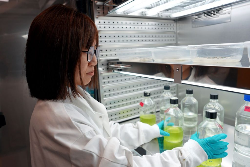 Woman works in lab