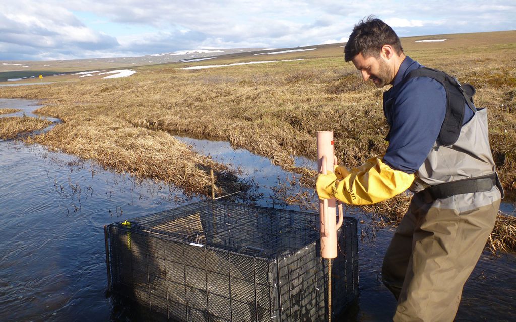 Mark Urban in the Arctic