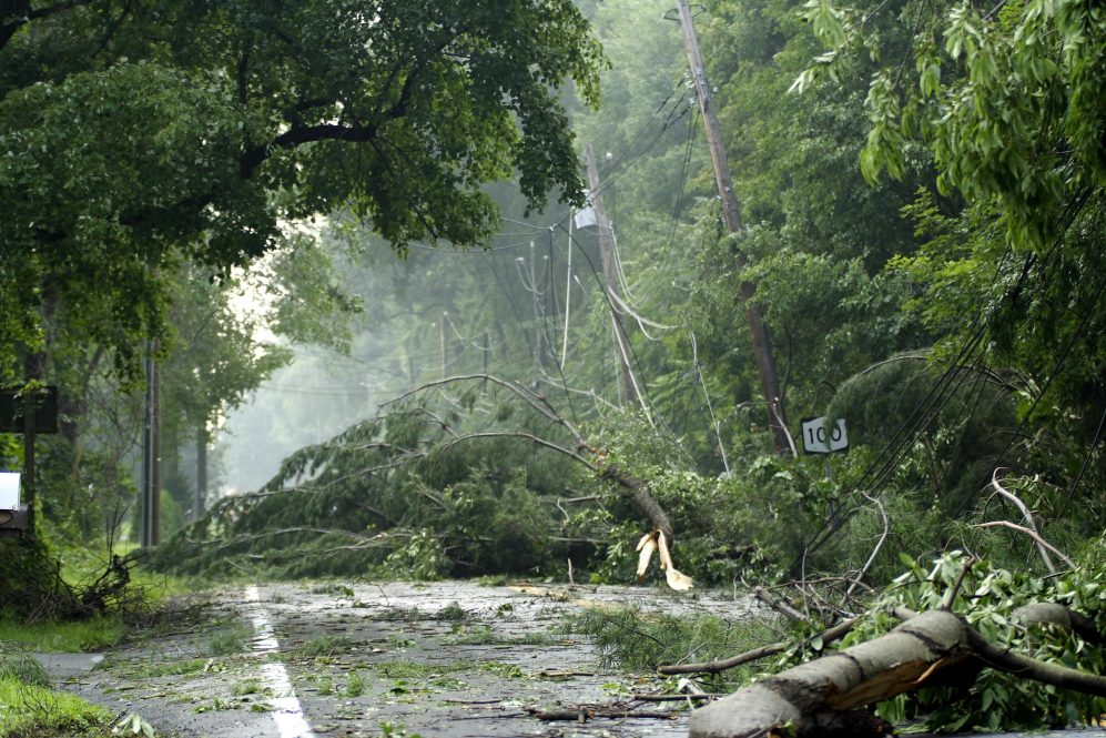 Trees down after a storm, causing a power outage.