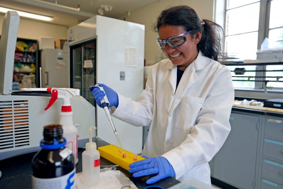 Alana Wolfson working in the lab