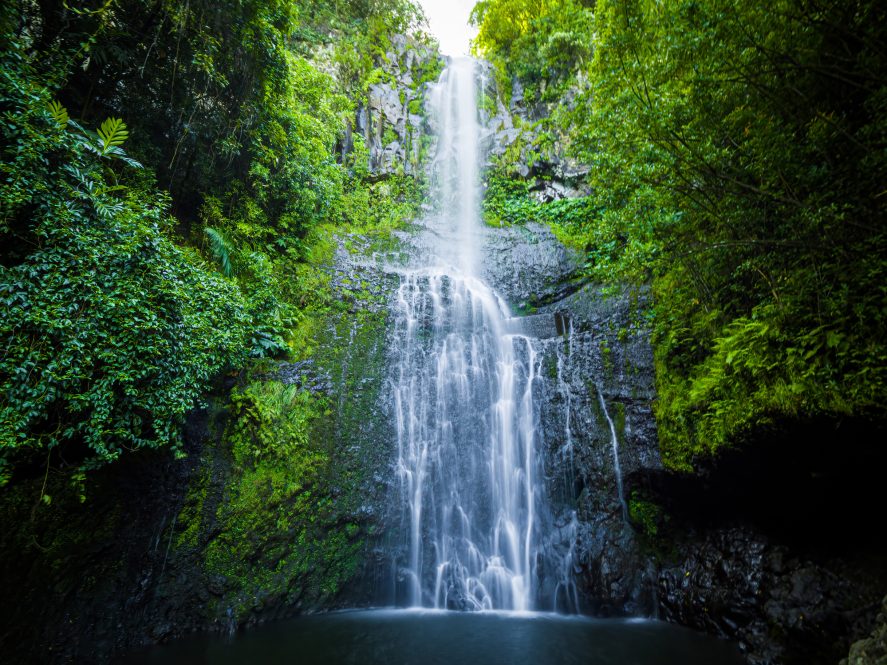 Waterfall surrounded by trees