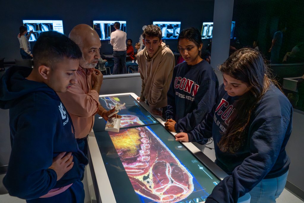 Students from the UConn Schools of Medicine and Dental Medicine, learn anatomy in the interactive virtual anatomy laboratory