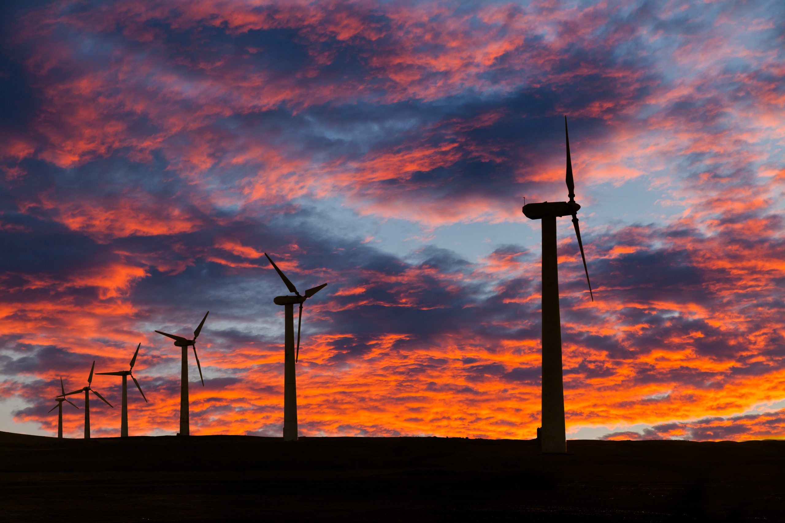 Wind turbines in the desert at sunset.