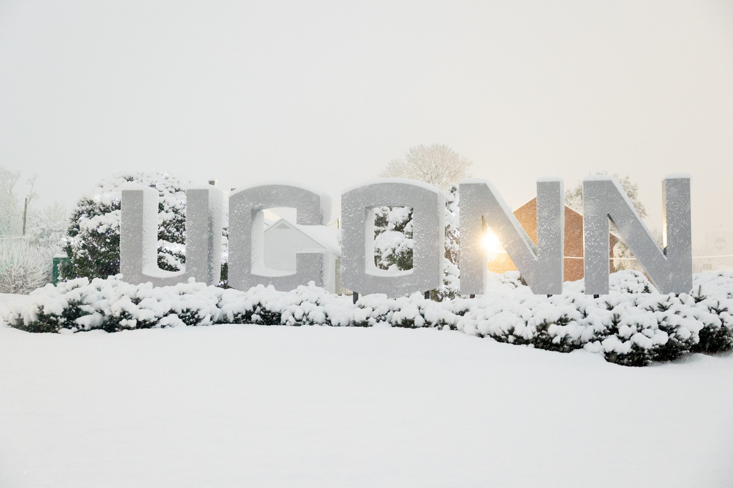 The first measurable snowfall of the year coats the UConn Storrs campus among the holiday lights before sunrise