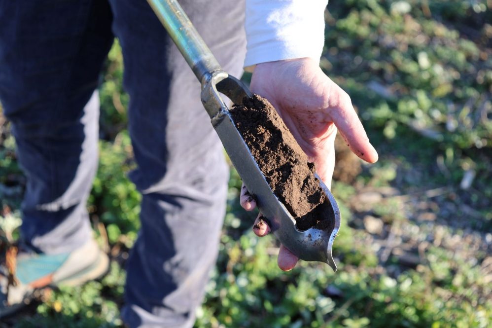 Amelia Magistrali, UConn Extension’s associate educator in soil health (Kara Bonsack/UConn Photo)