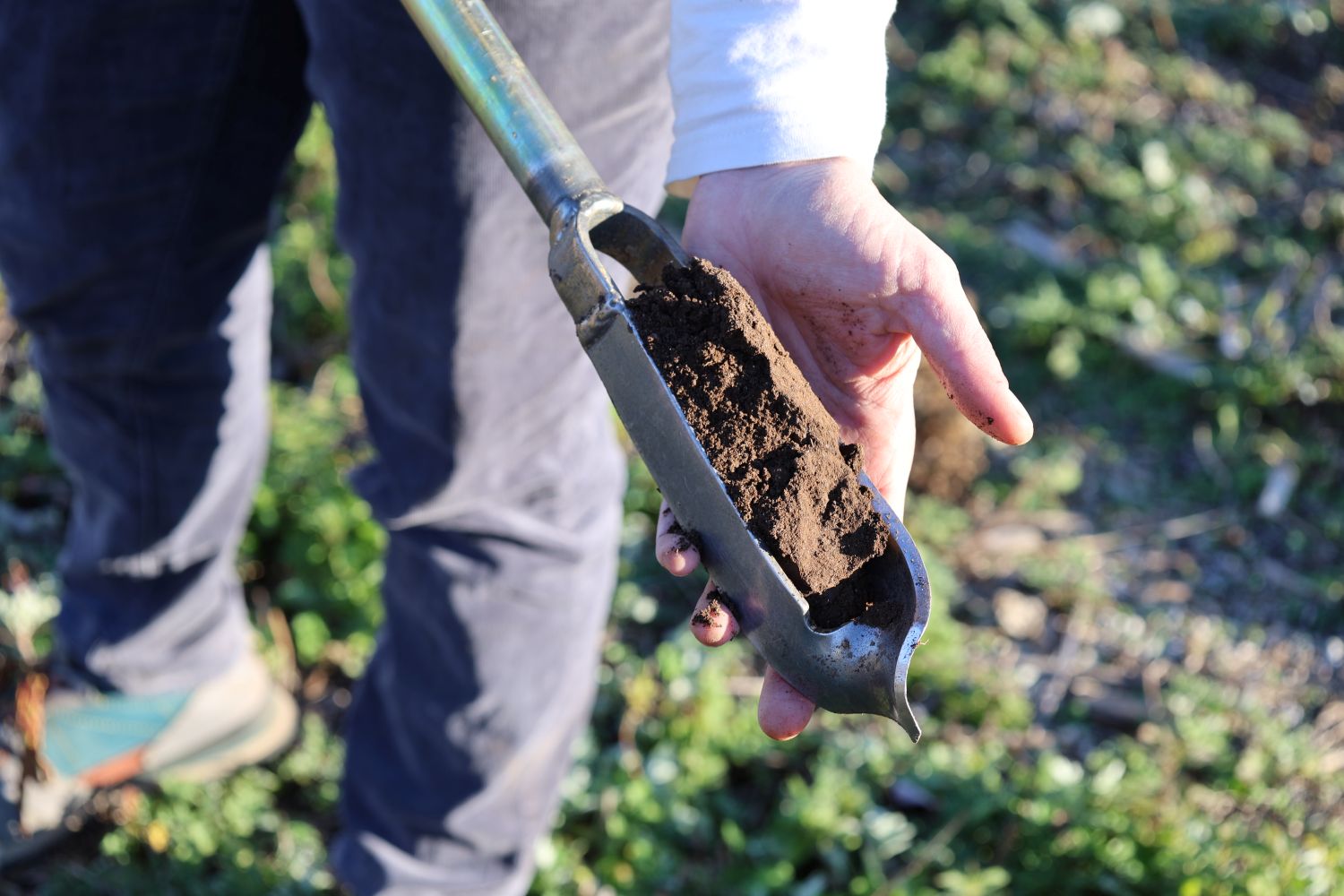 Amelia Magistrali, UConn Extension’s associate educator in soil health (Kara Bonsack/UConn Photo)