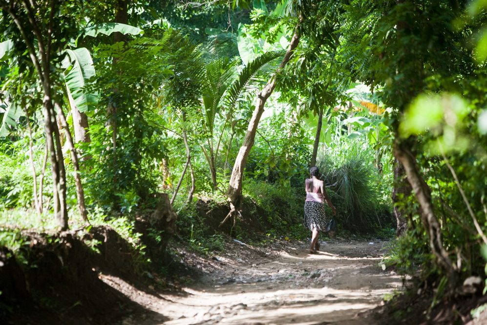 Haitian woman through a Haitian forest