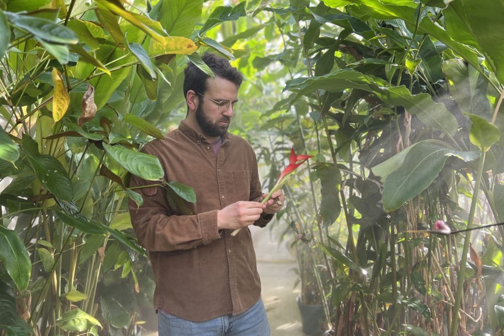 Man looking at a plant in a greenhouse